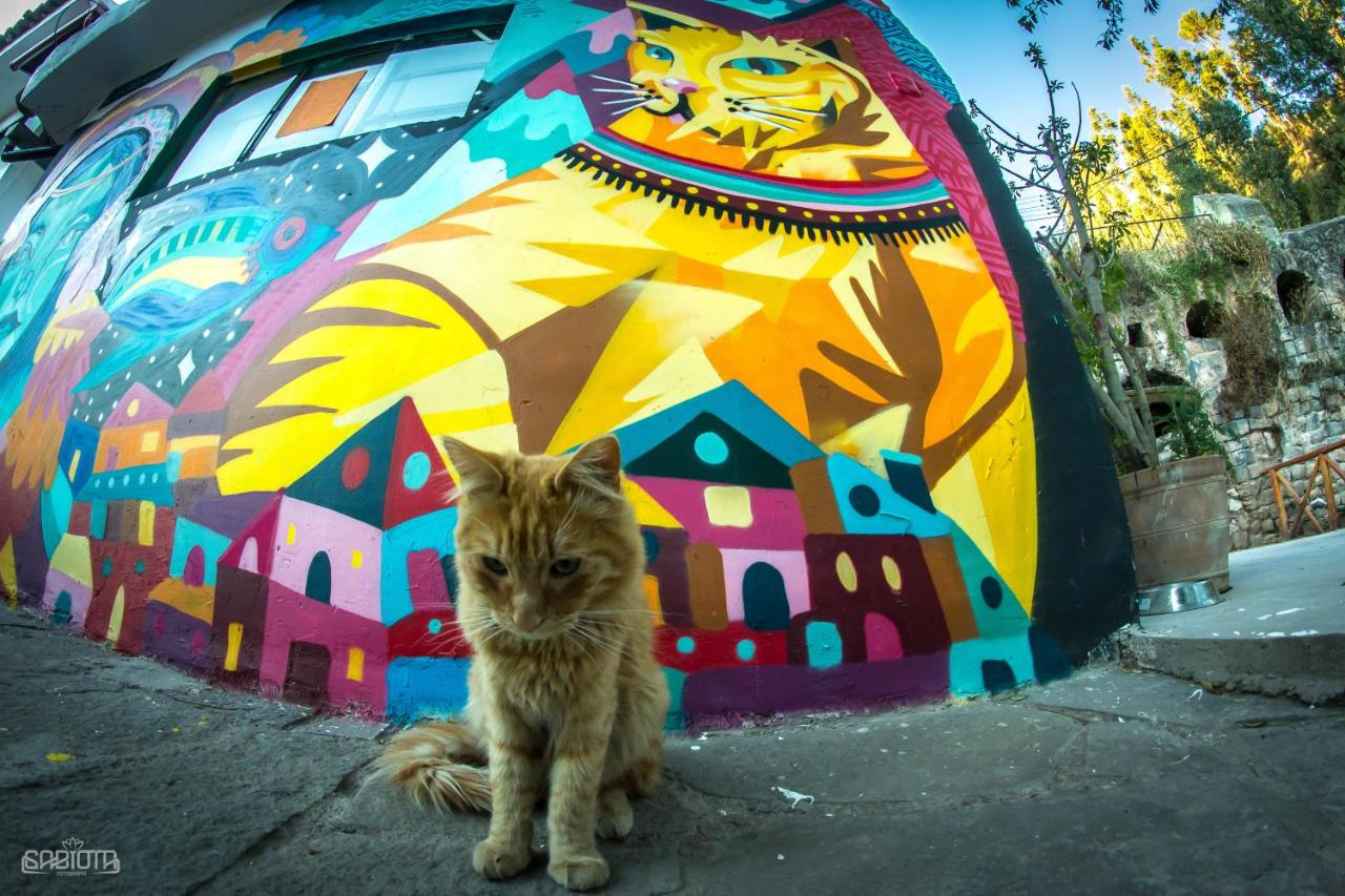 Photo - Supertramp Hostel Cusco