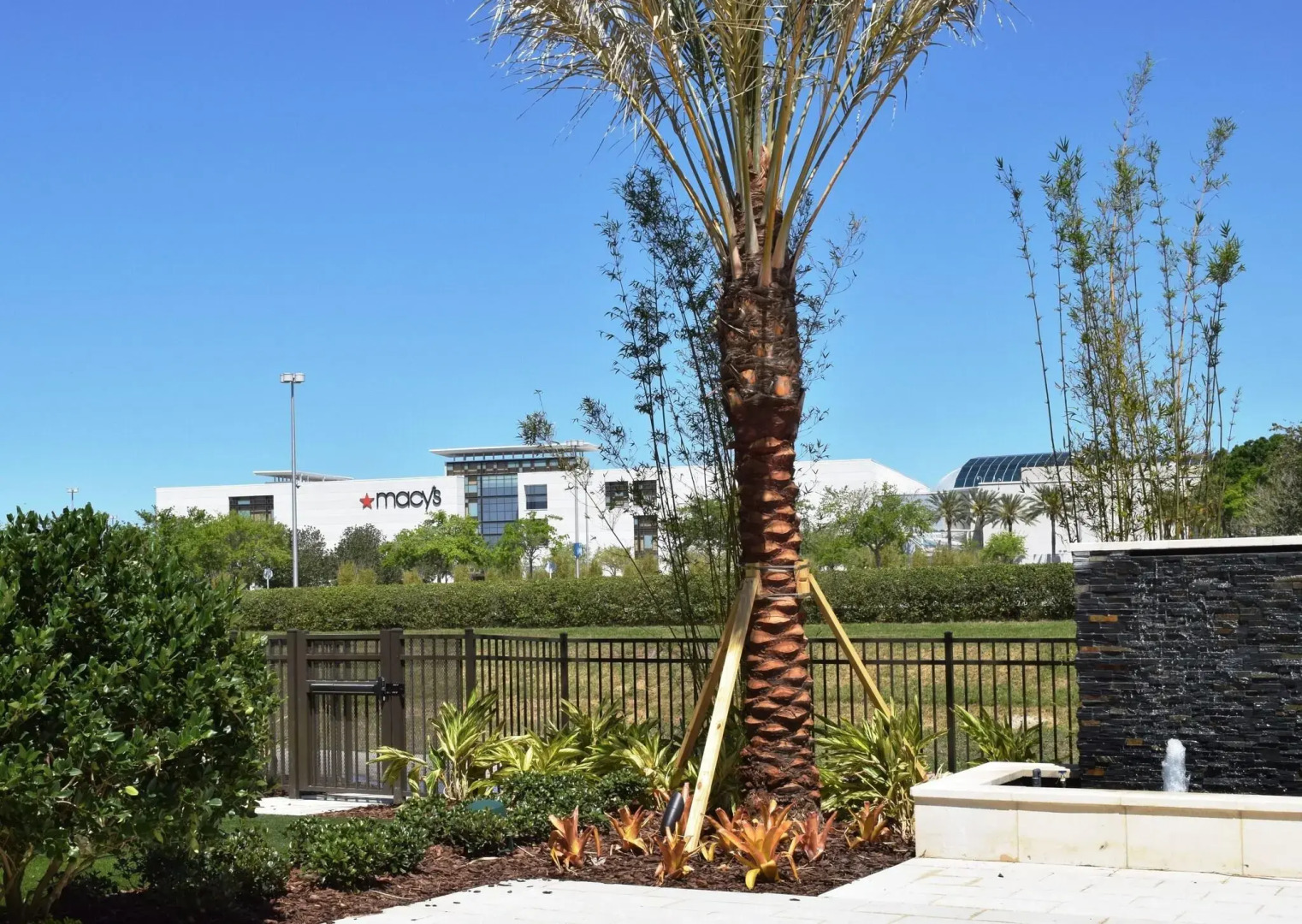 Foto - Residence Inn by Marriott Orlando at Millenia