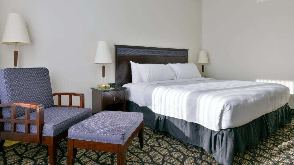 Foto - Lelux Hotel