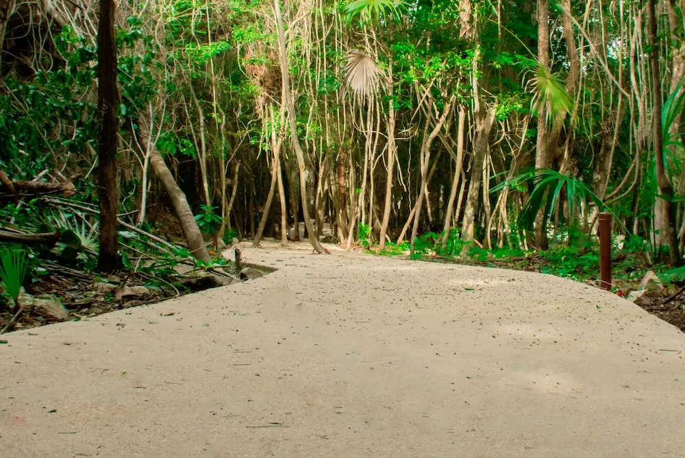 Photo - Hotel Casa Tortuga Tulum Cenotes Park Inclusive