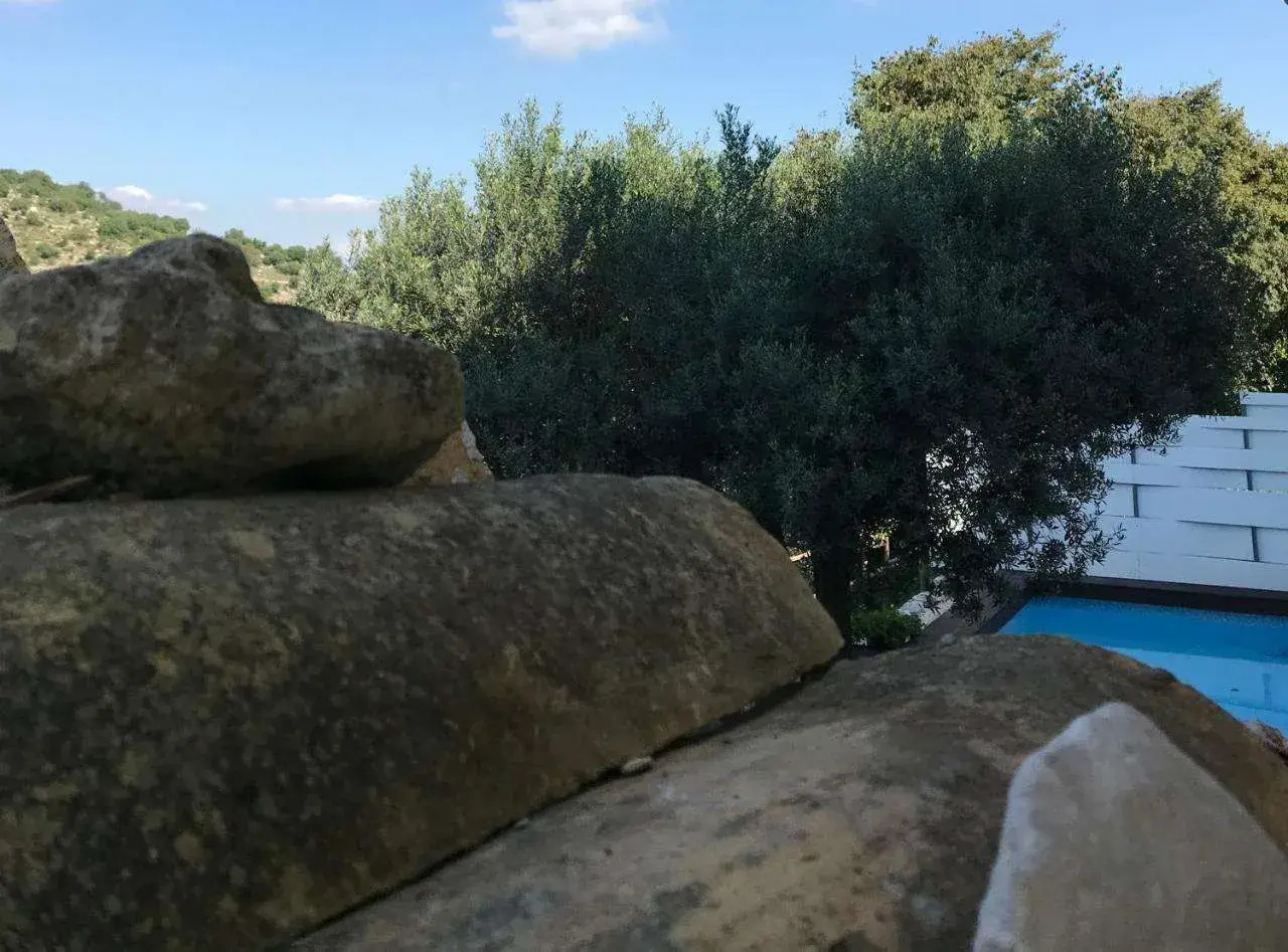 Foto - La Volta Rooms Locazione Turistica