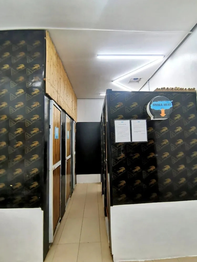 Foto - Big Paul Hostel