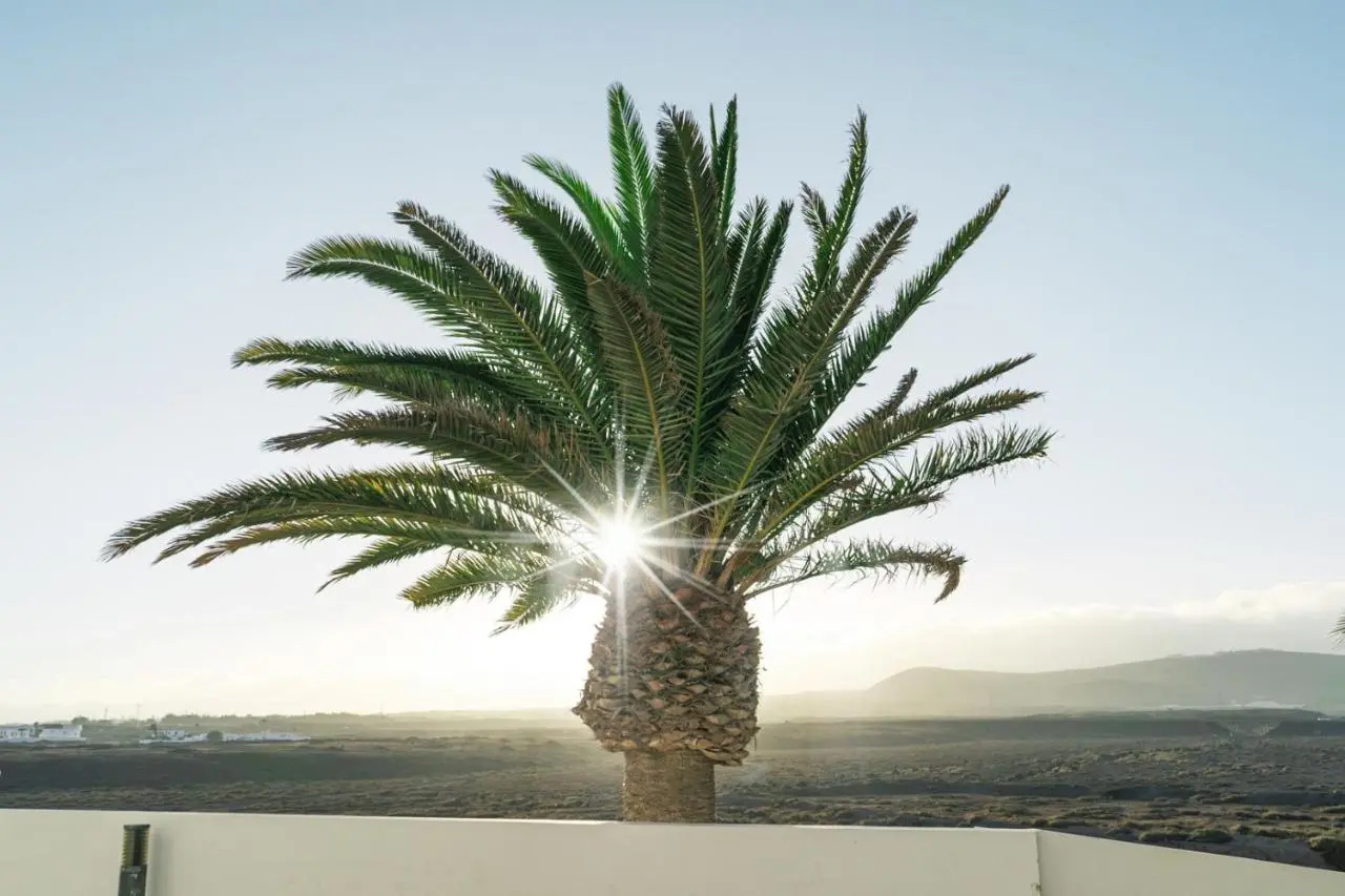 Foto - Aequora Lanzarote Suites