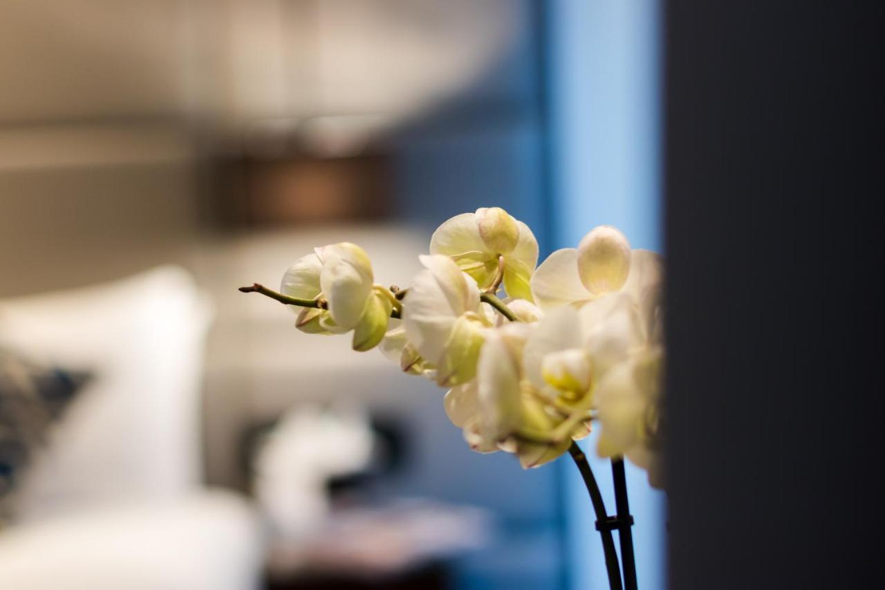 Photo - Montcalm Chilworth Townhouse, Paddington