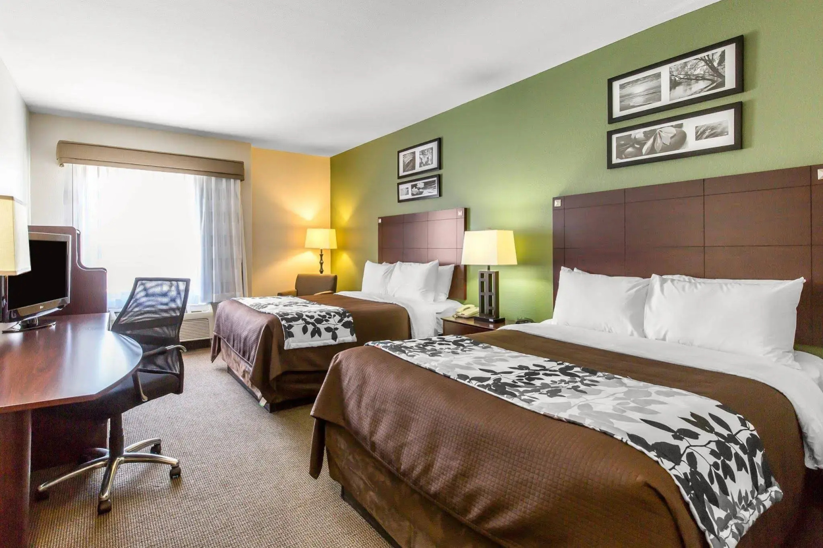 Foto - Sleep Inn & Suites Bush Intercontinental - IAH East