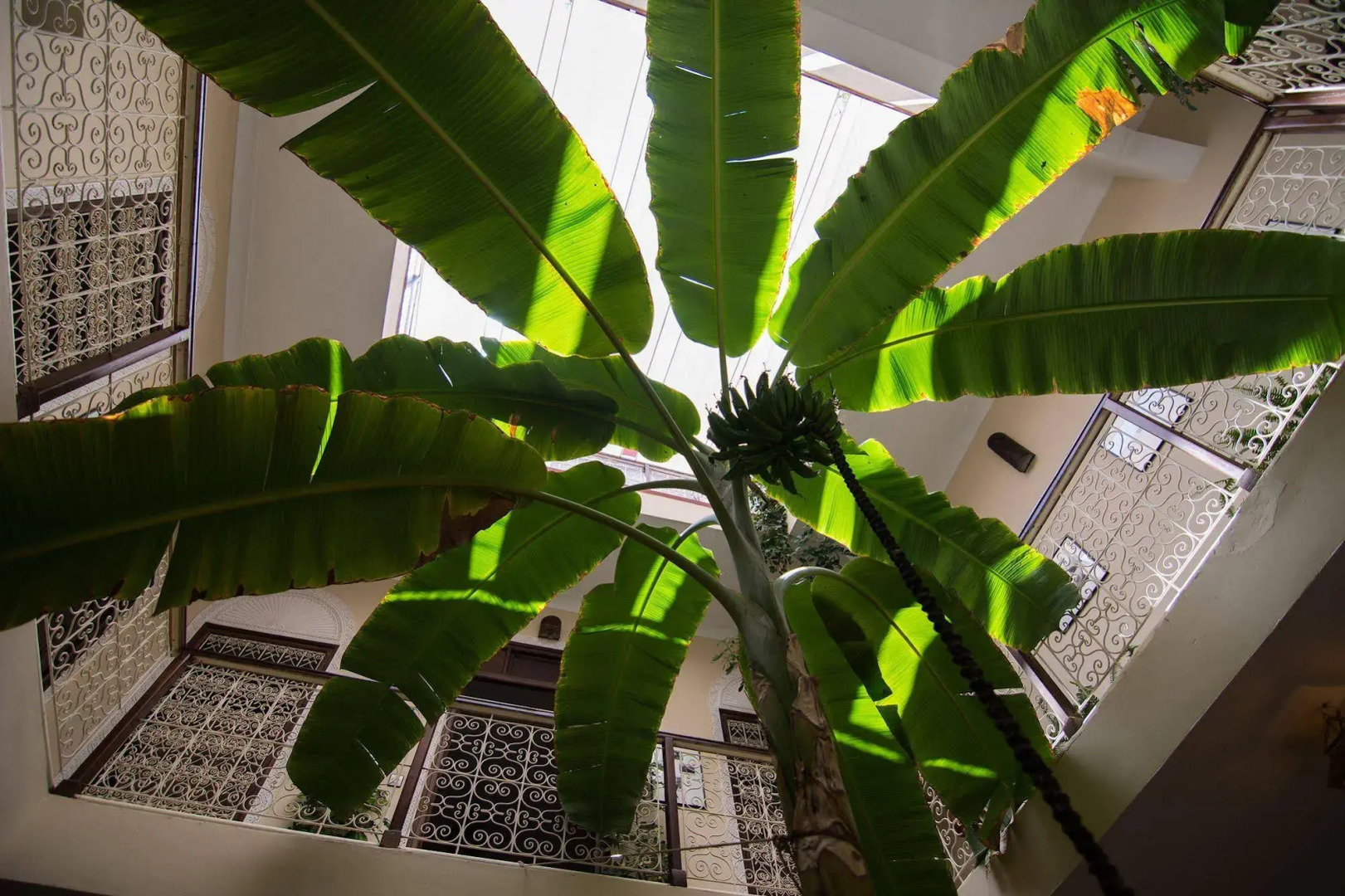 Foto - Riad Marhbabikoum