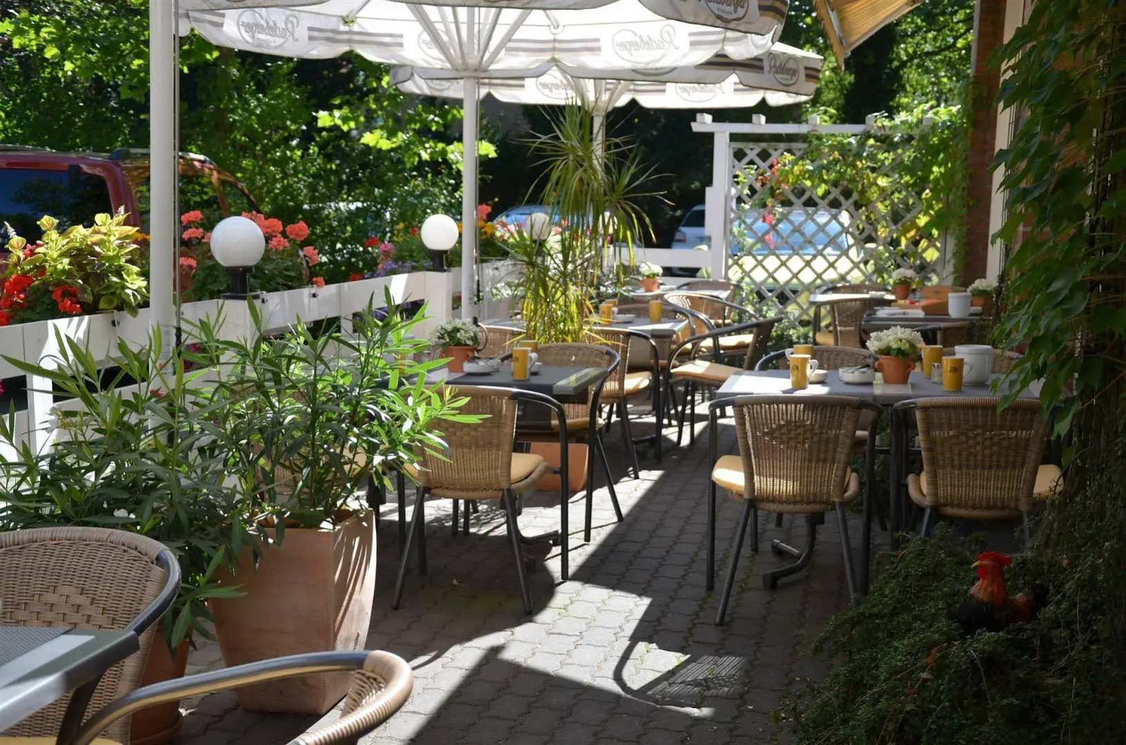 Foto - Taste Hotel Dresden-ehemals Residenz Alt Dresden