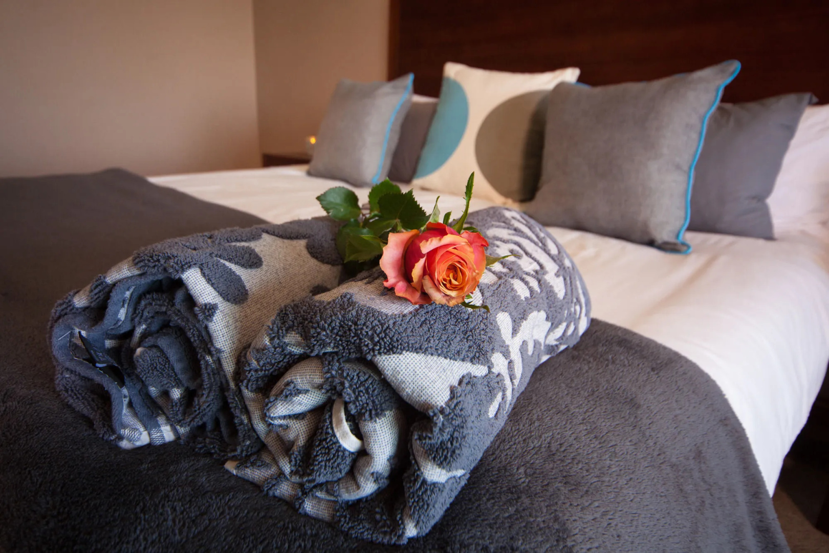 Photo - Over The Moon Guesthouse