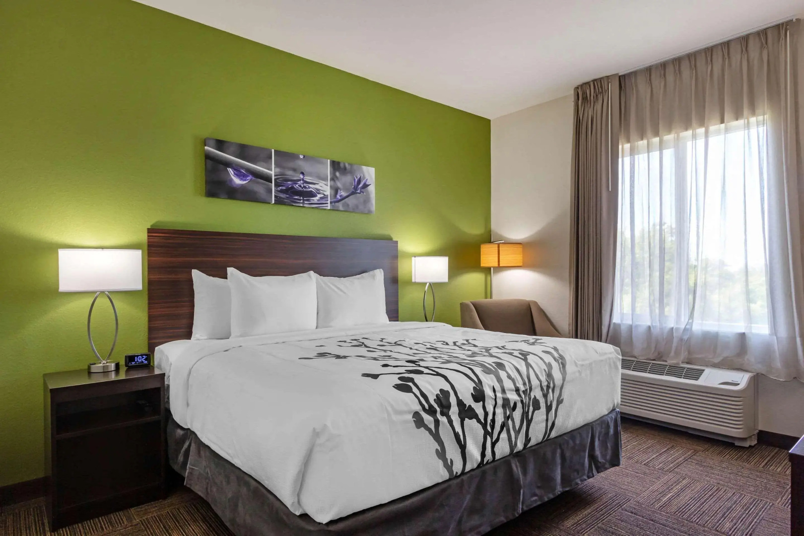 Photo - Sleep Inn & Suites Tampa South