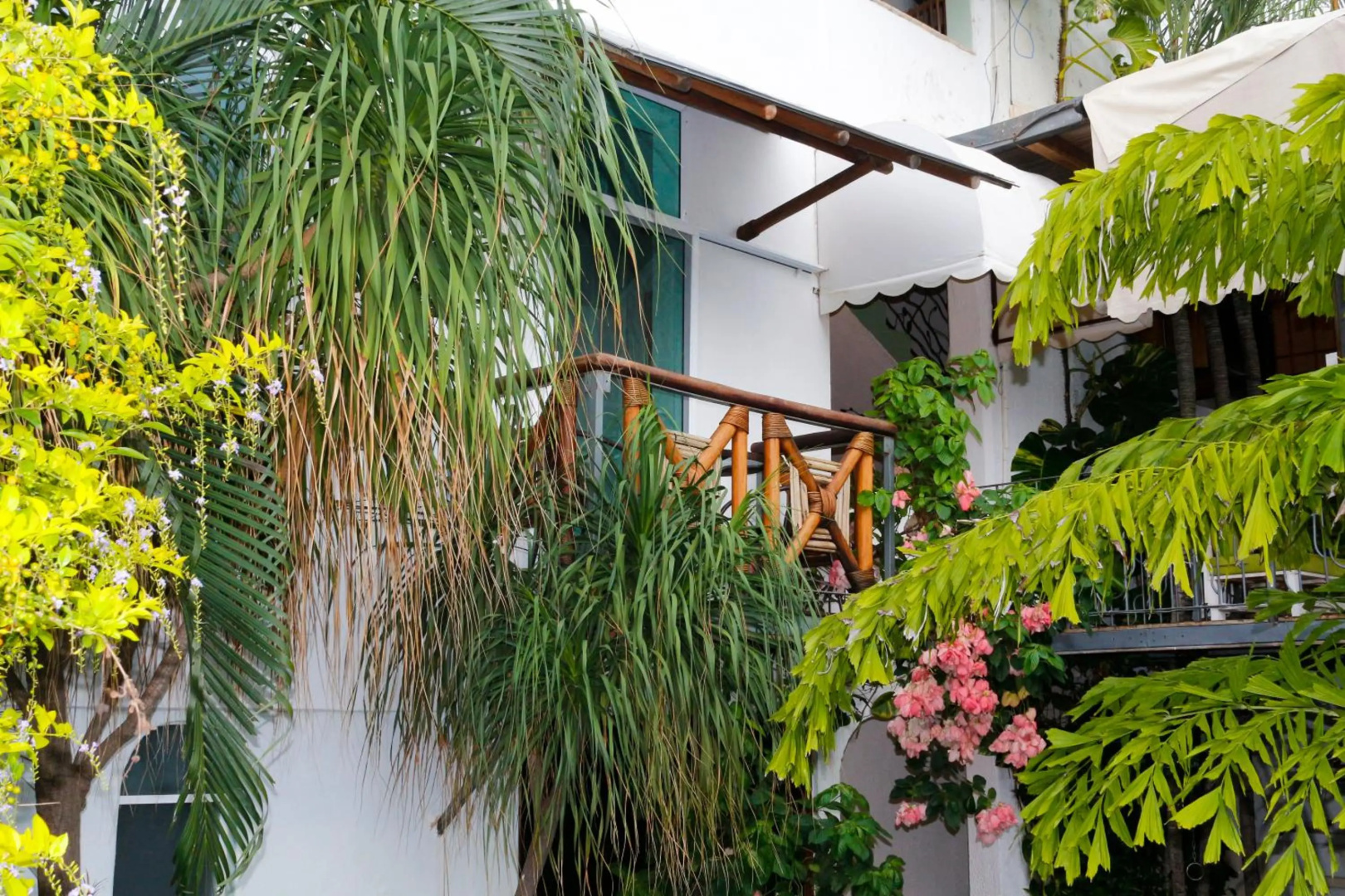 Foto - Hotel Careyes Puerto Escondido