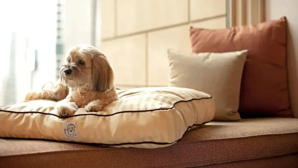 Photo - The Livingston, part of JdV by Hyatt