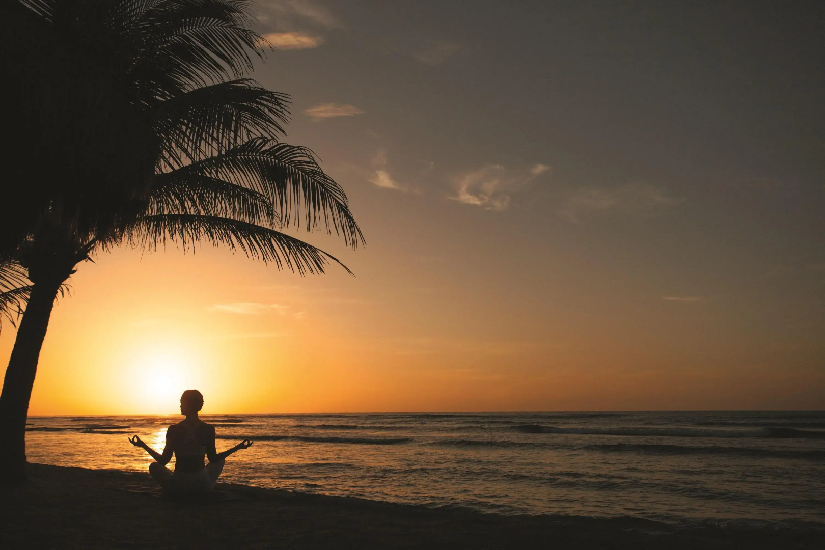 Photo - El Dorado Seaside Palms, All & More Inclusive - Adults Only