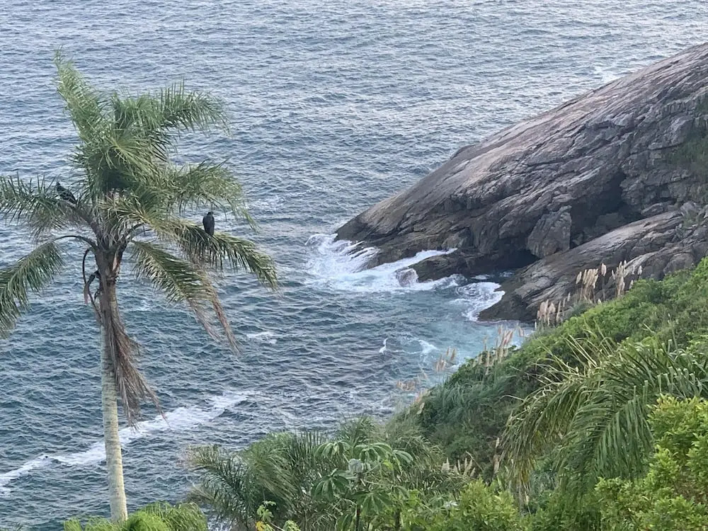 Foto - Hotel The Green Ecologic