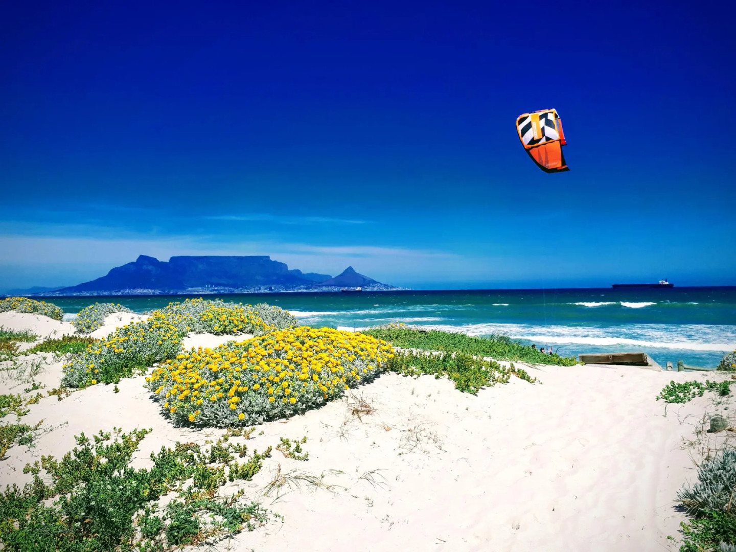 Foto - Dolphin Inn Blouberg