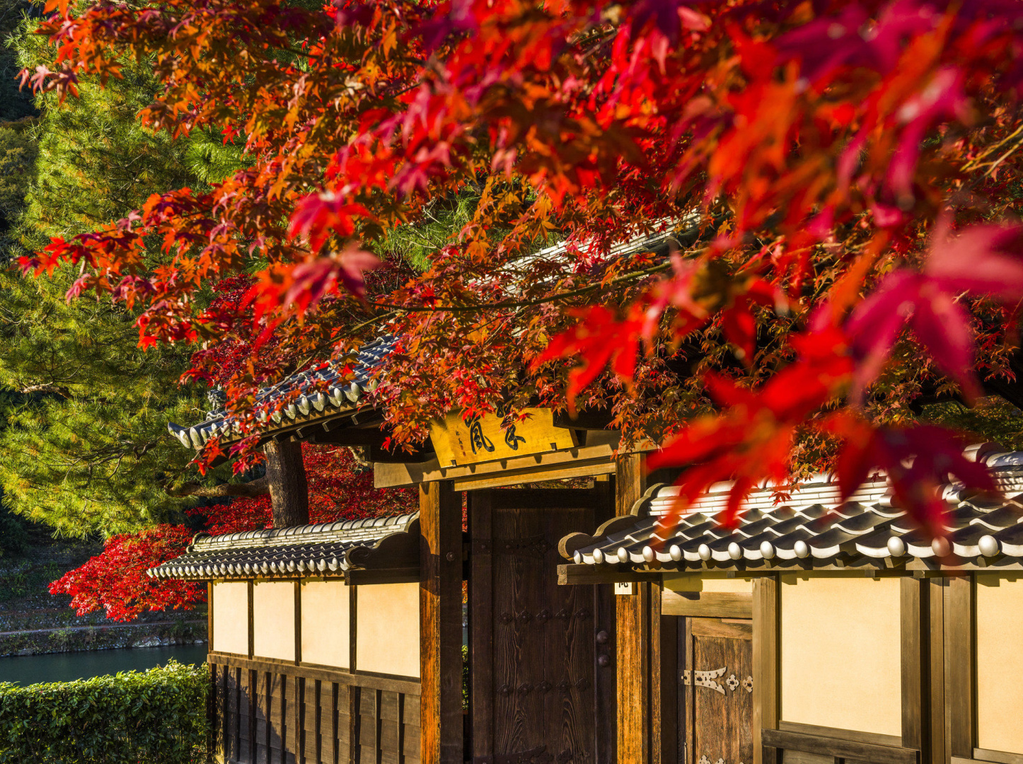 Photo - Suiran, A Luxury Collection Hotel, Kyoto