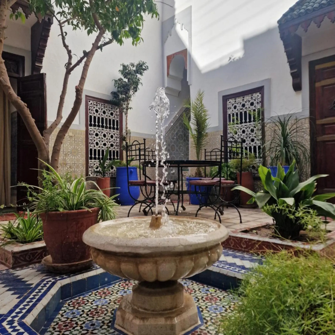 Photo - Riad Dalia