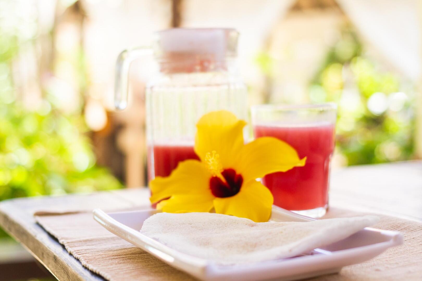 Foto - Pousada Hibiscus