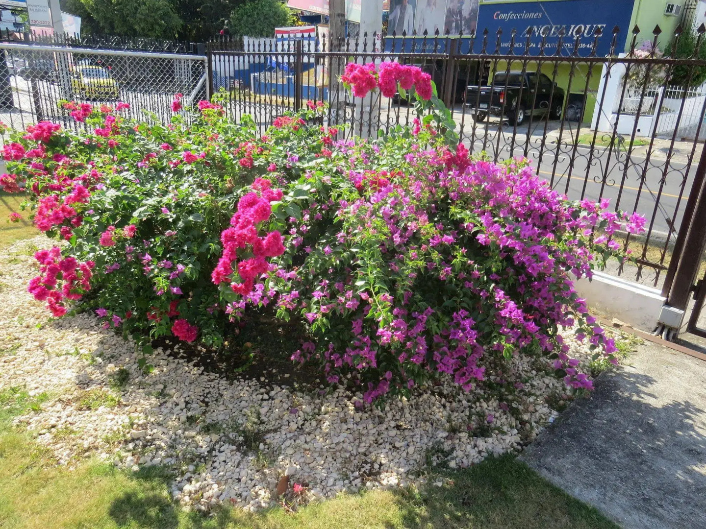 Foto - Sofia's B&B Hostal Boutique