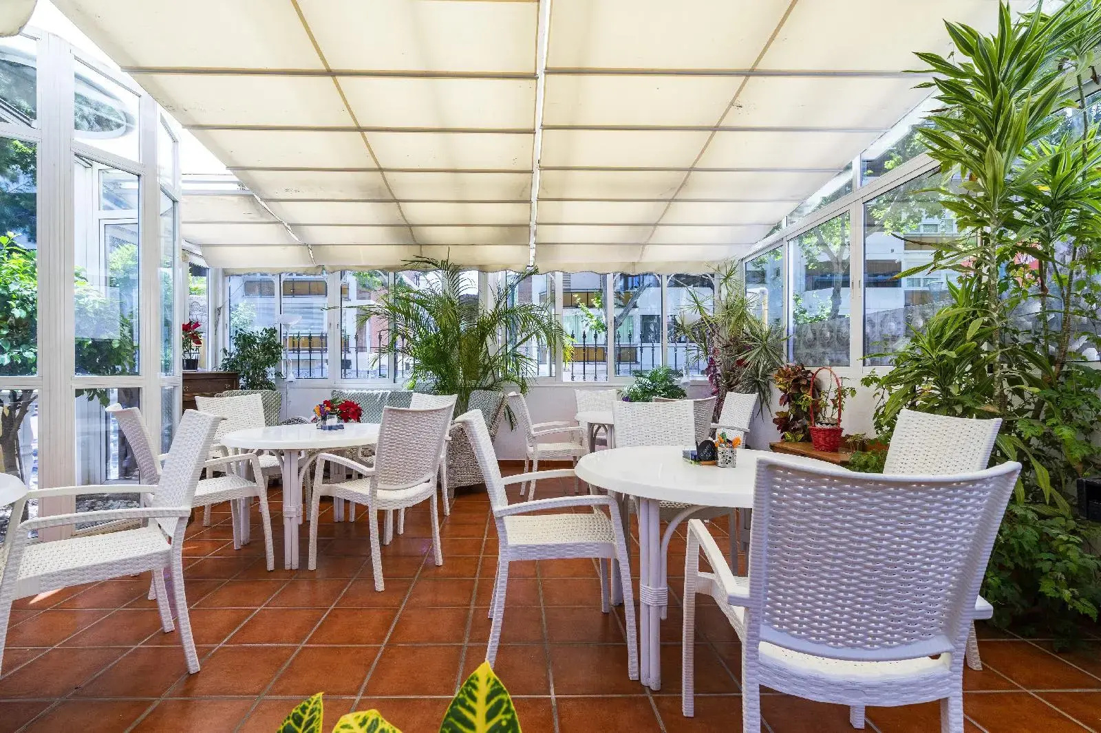 Photo - Hotel Elcano
