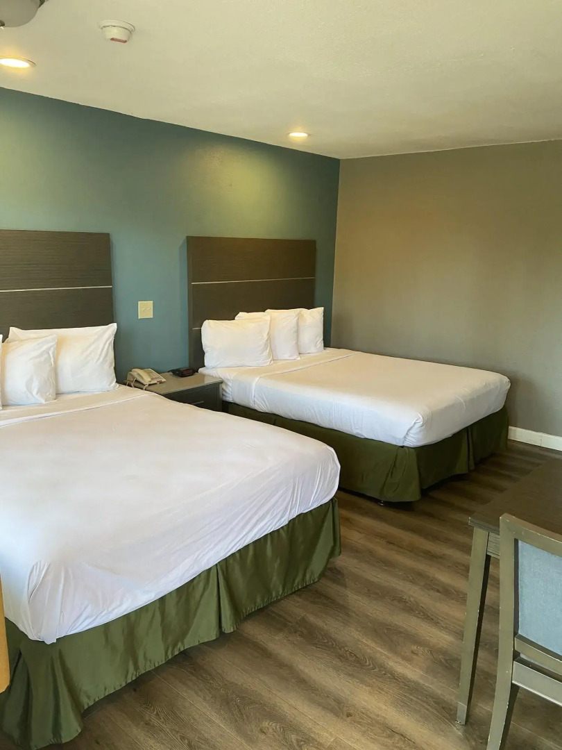 Foto - Hotel Palmeras Chula Vista