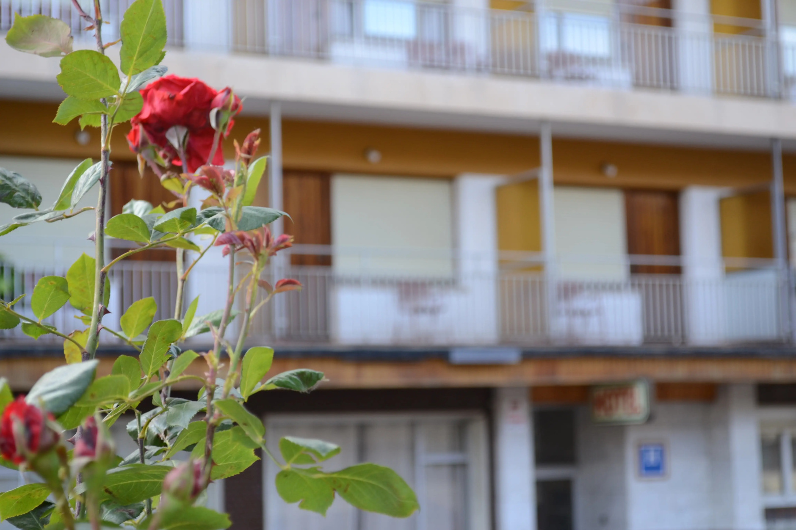 Foto - Hotel Mi Casa