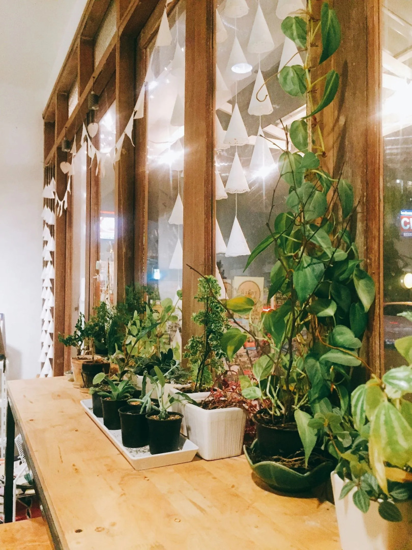 Foto - Rimnim Hostel