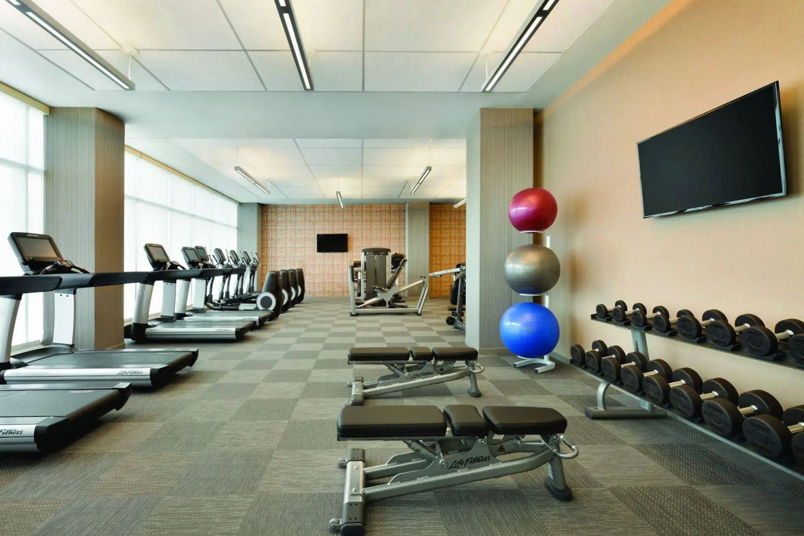 Foto - Element by Marriott Dallas Love Field