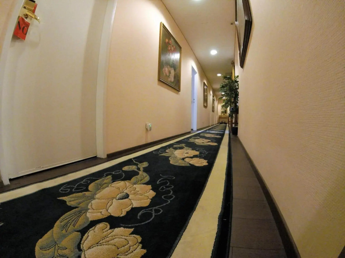 Foto - Hotel Pension Excellence