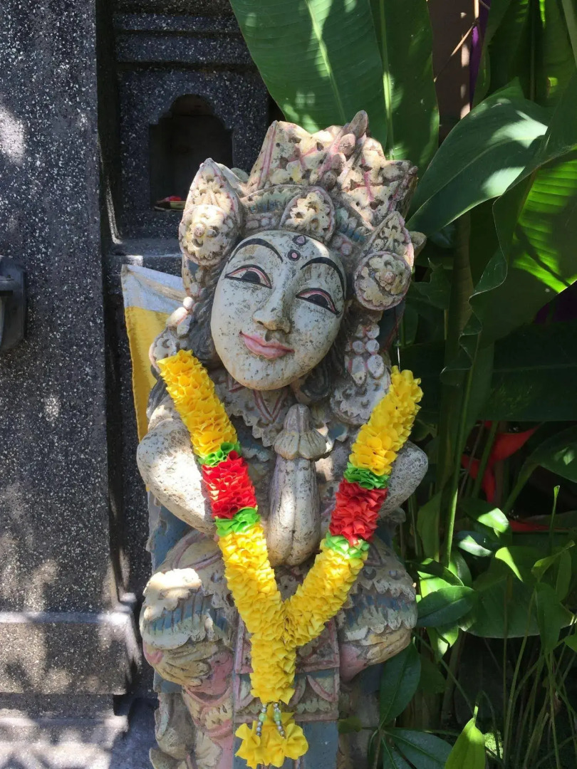 Foto - Uma Padi Villa