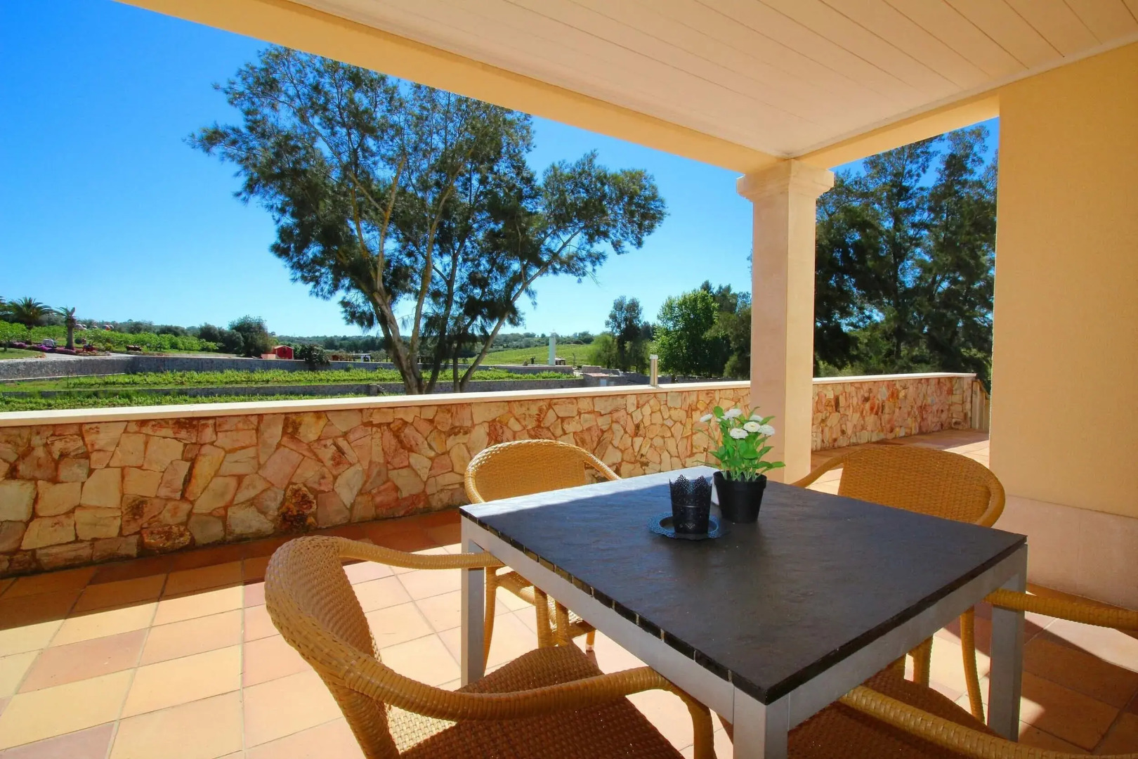 Foto - Quinta dos Vales Wine Estate