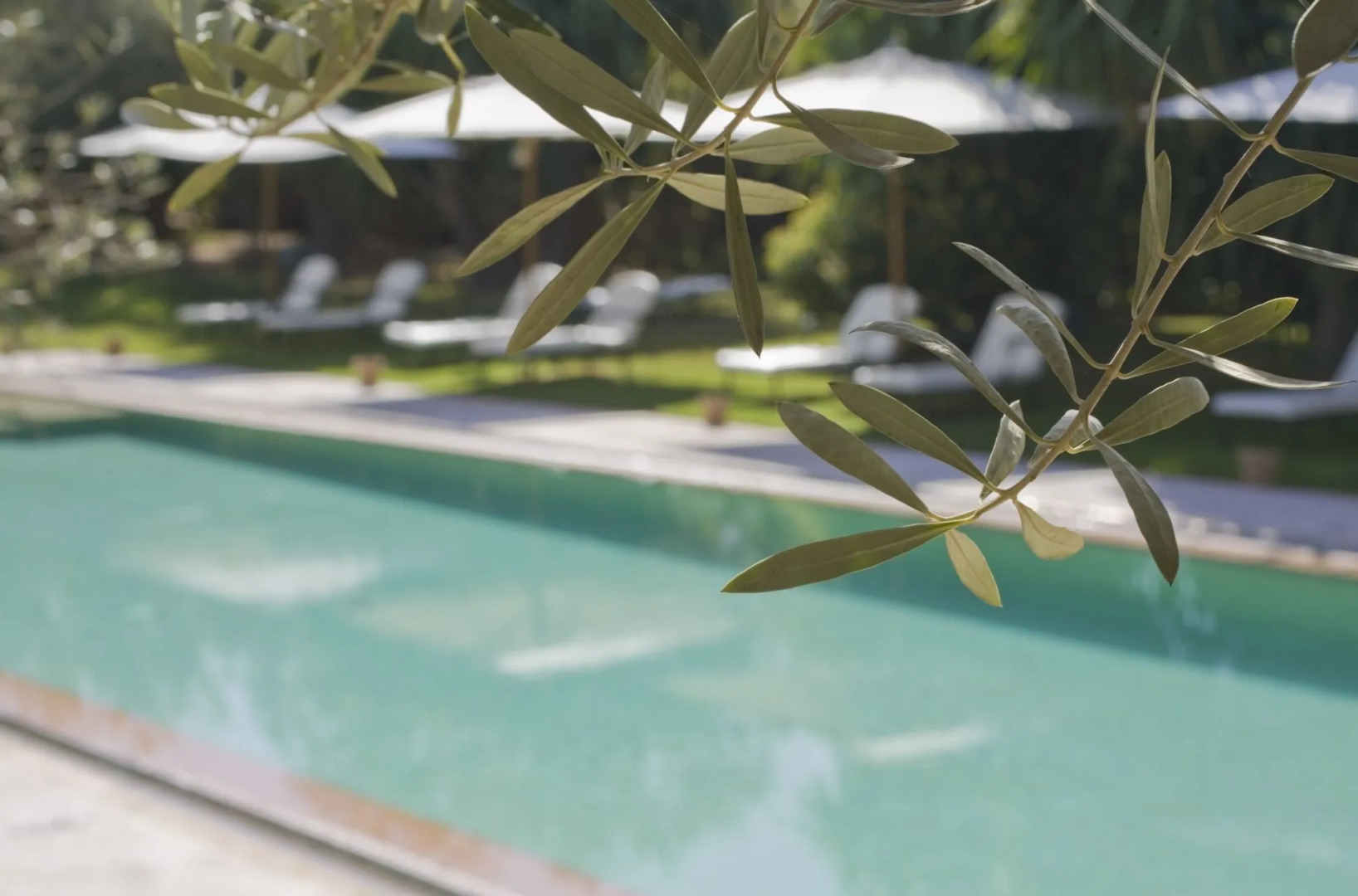 Foto - Les Deux Tours