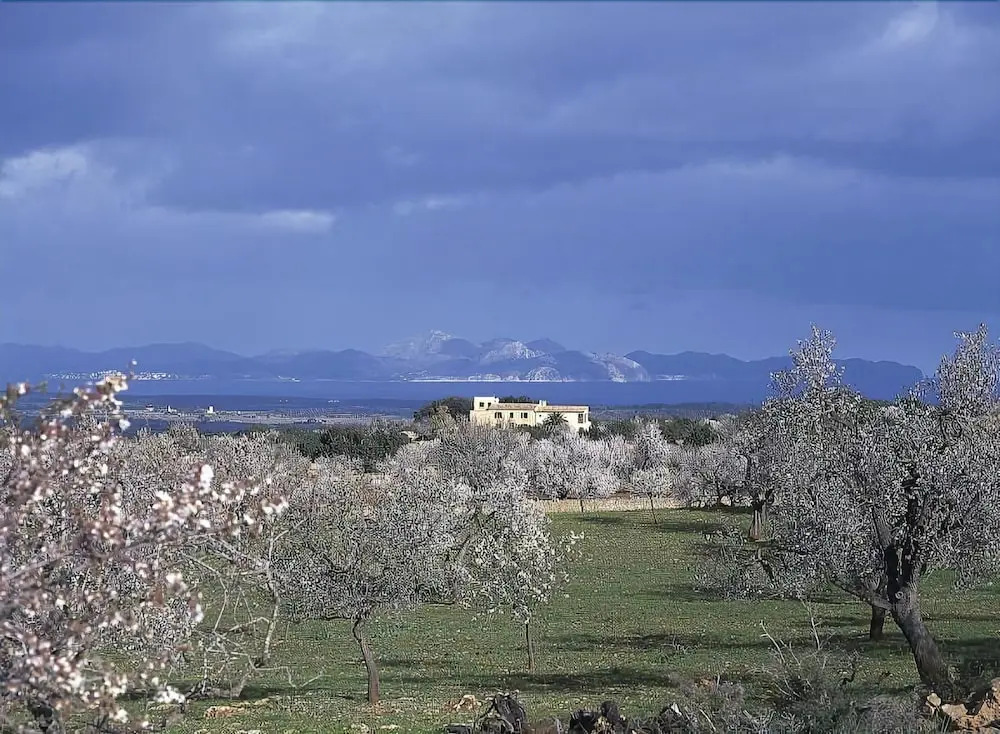 Foto - Sos Ferres D'en Morey