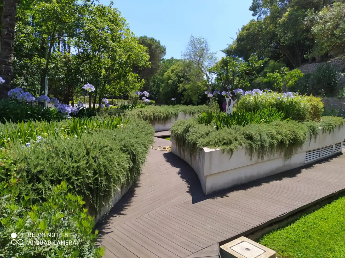 Photo - Hotel Il Cantico St. Peter