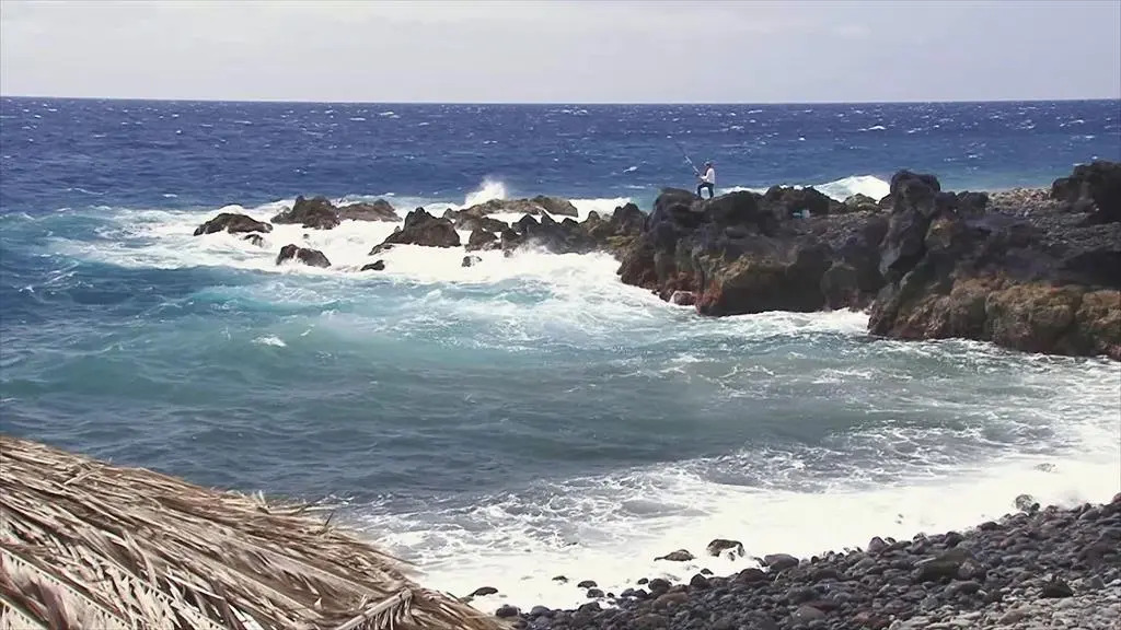 Photo - The Views Oasis