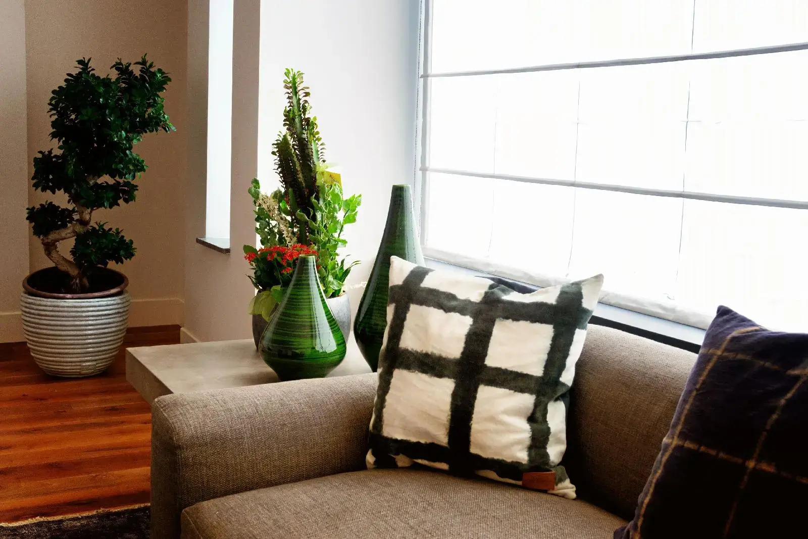 Photo - Al Politeama Rooms B&B