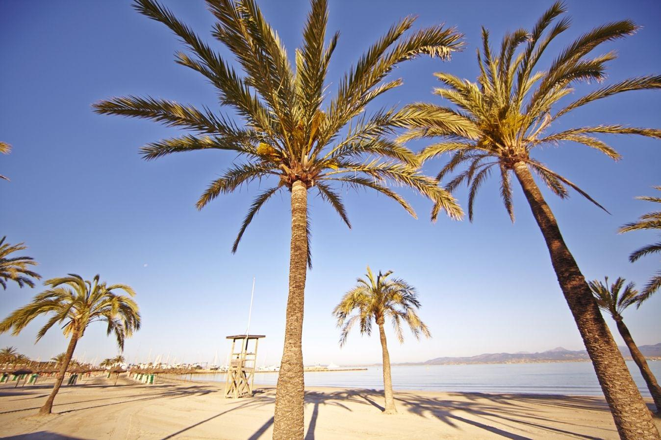 Photo - MLL Mediterranean Bay Hotel - Adults Only
