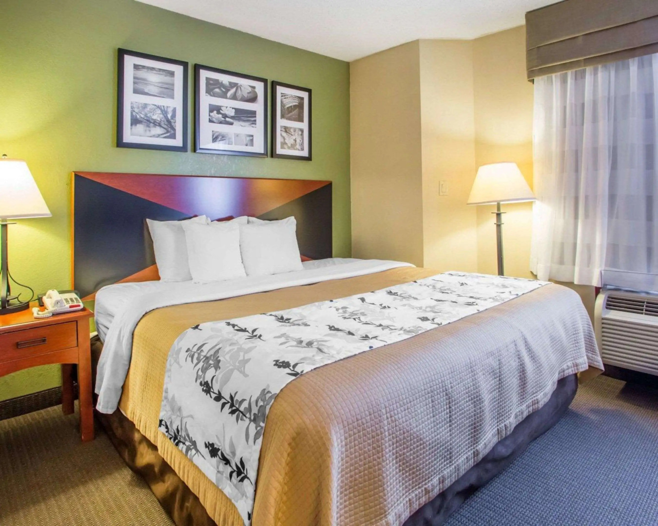 Foto - Sleep Inn Naperville - Chicago