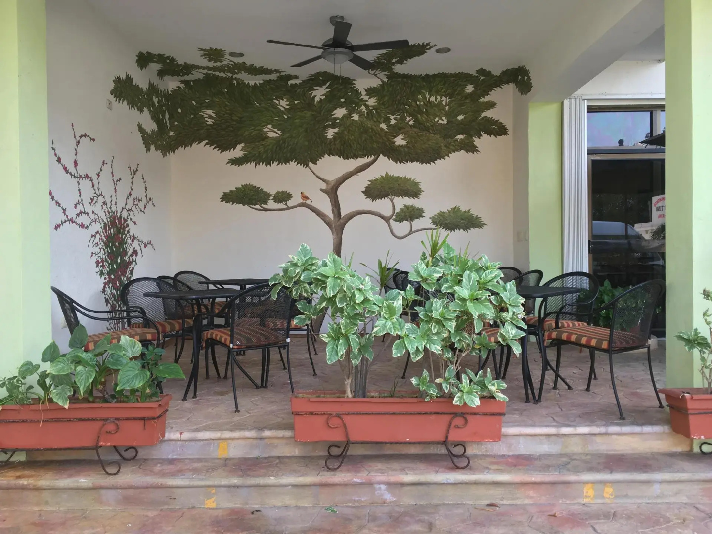 Photo - Hotel Plaza Cozumel