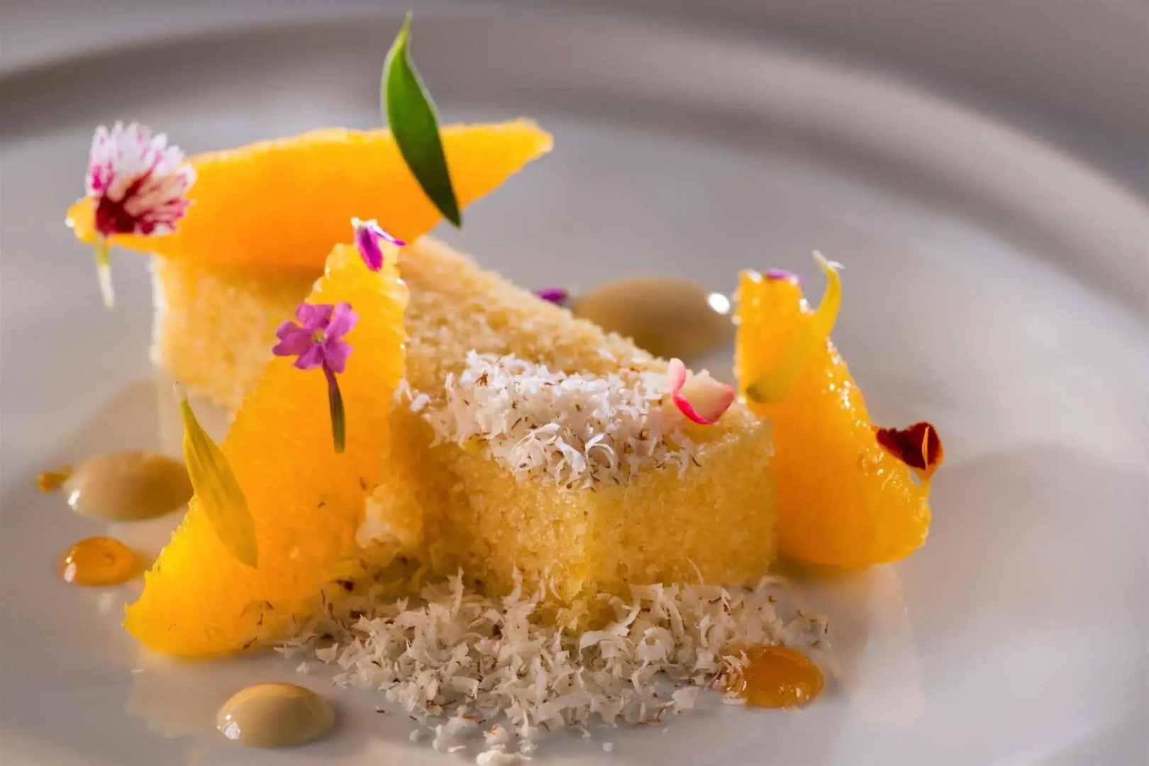 Foto - Samba Bossa Nova Ipanema