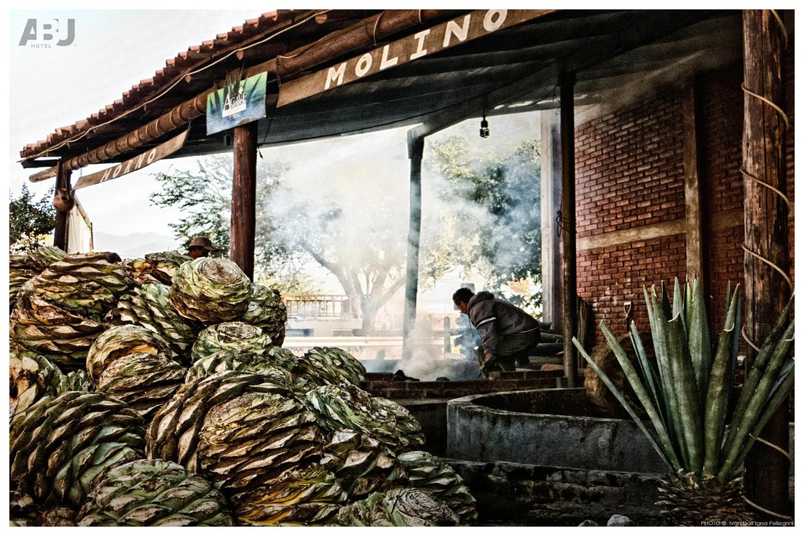 Photo - Hotel Abu