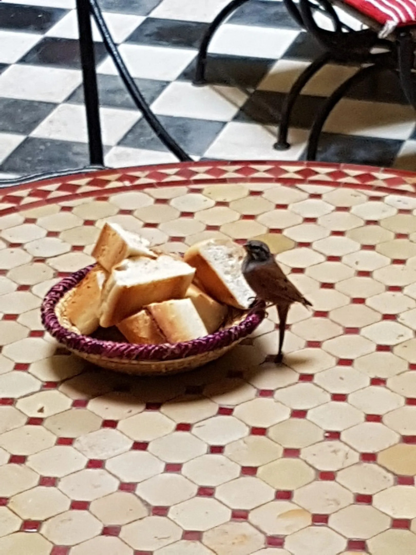 Foto - Riad Sidi Magdoul