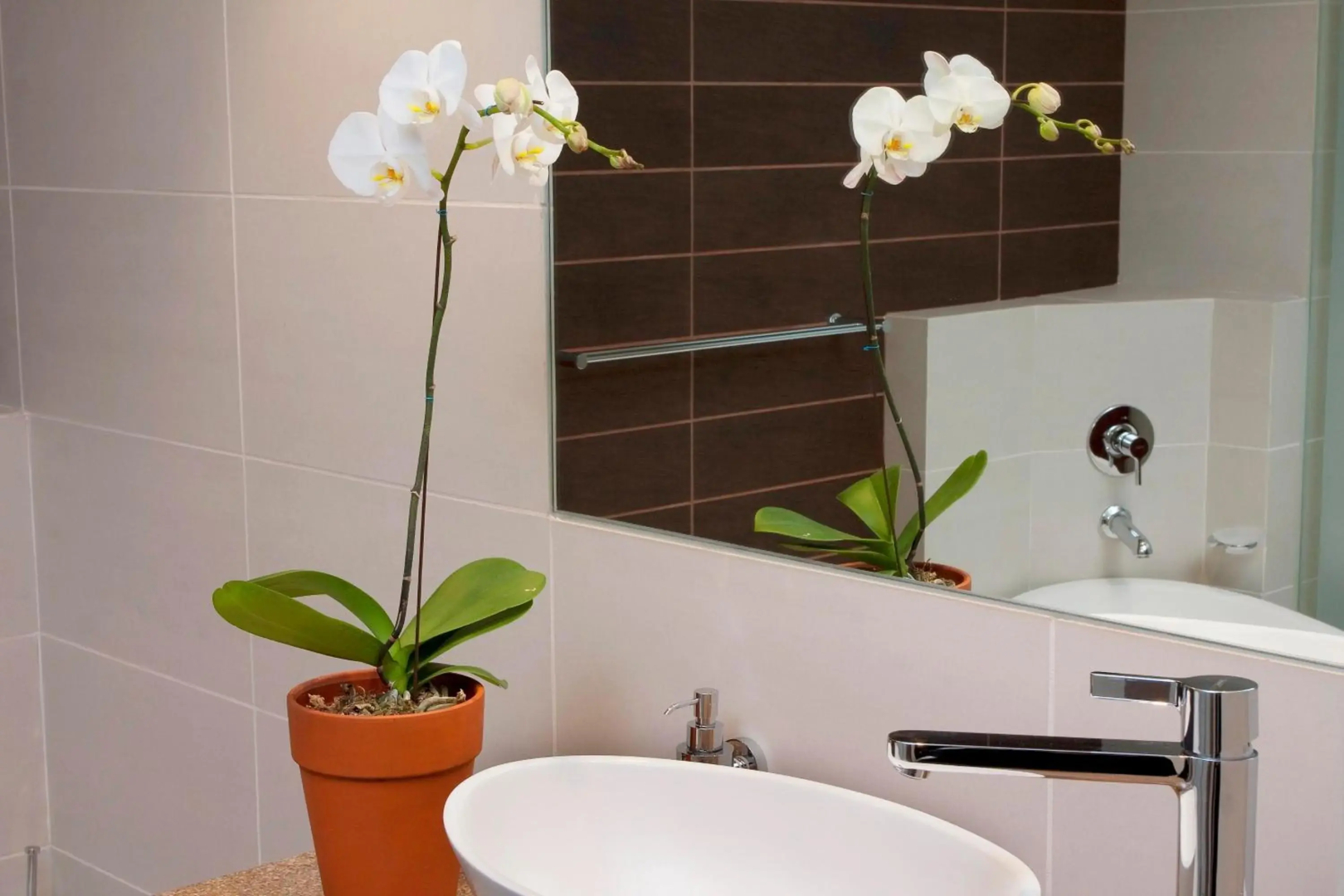 Photo - Apollo Hotel