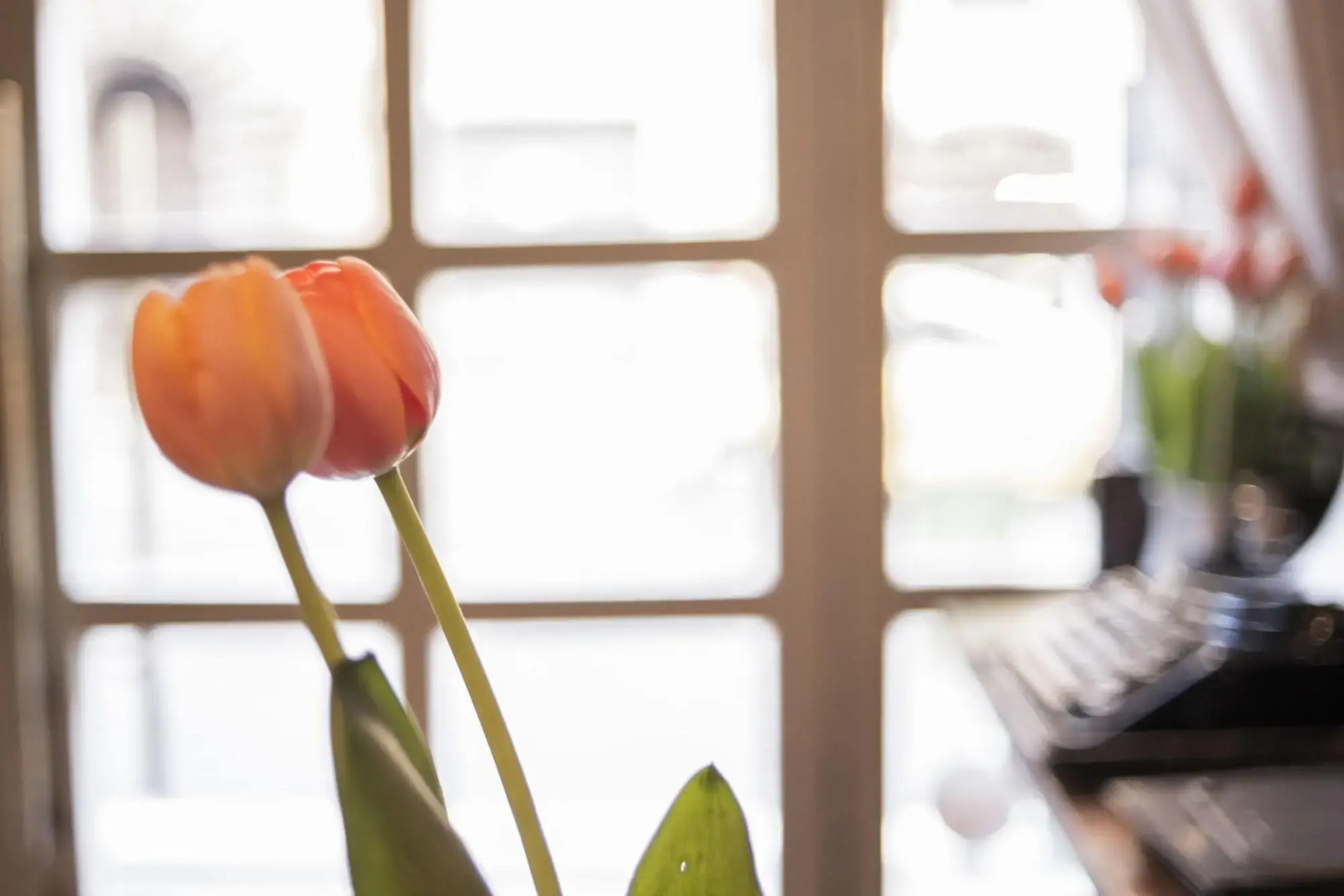 Foto - Ripetta Rooms