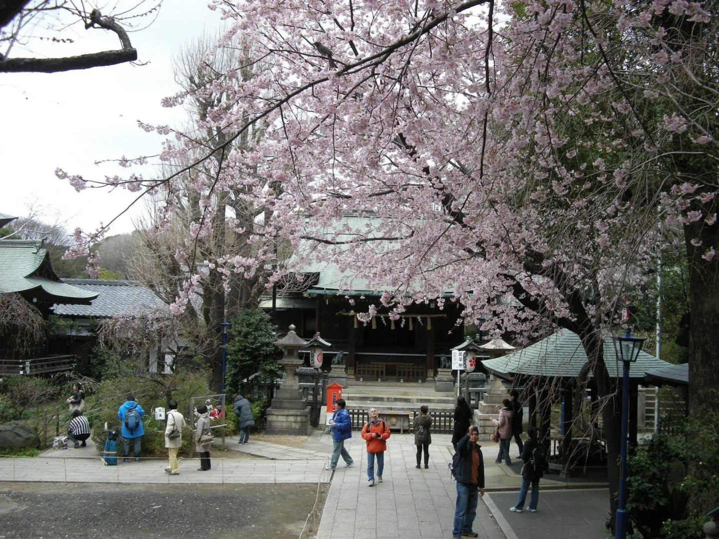 Photo - Ueno Terminal Hotel
