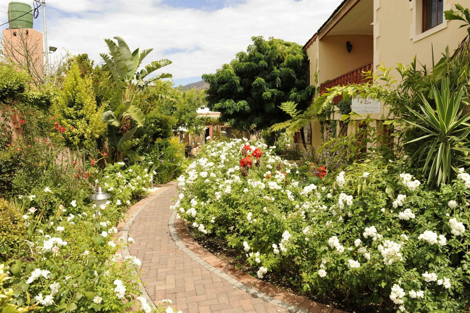 Foto - Montagu Country Hotel
