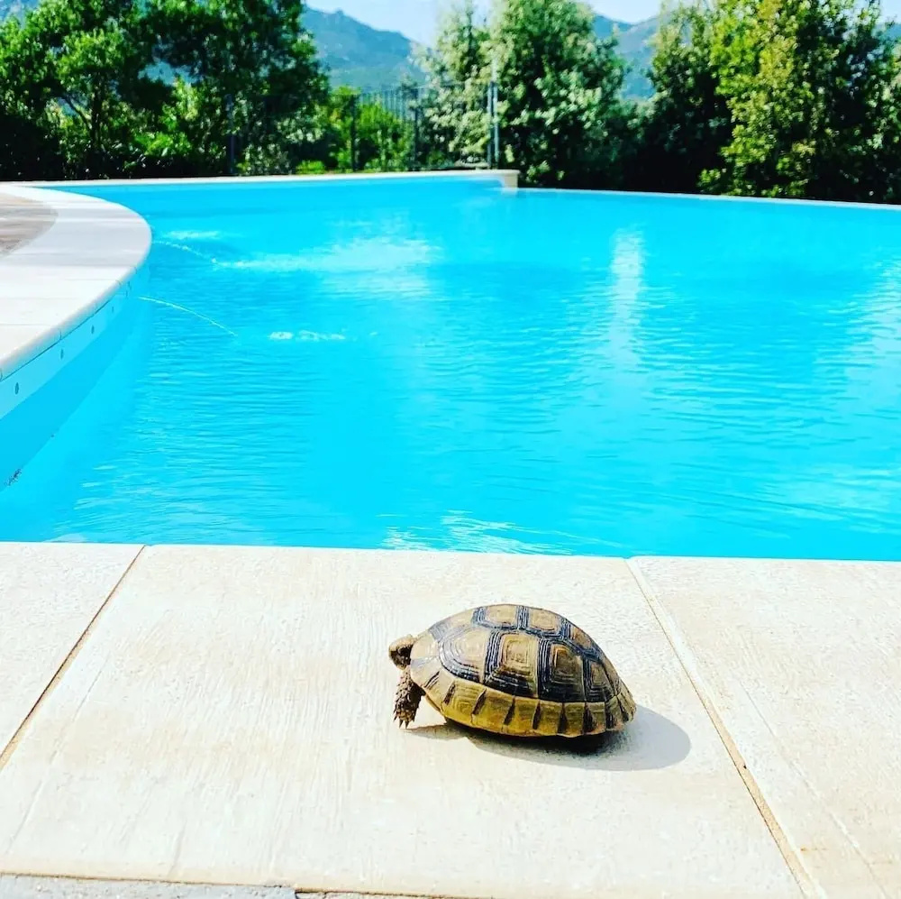 Photo - Villa Anastasia