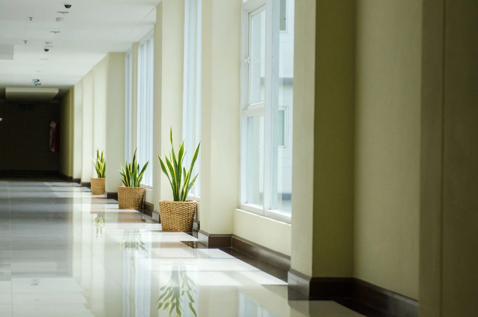 Foto - Sunday Platinum Suites