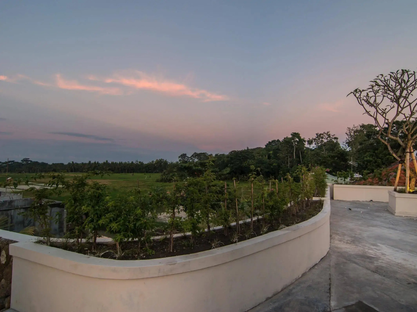 Foto - Anumana Ubud Hotel