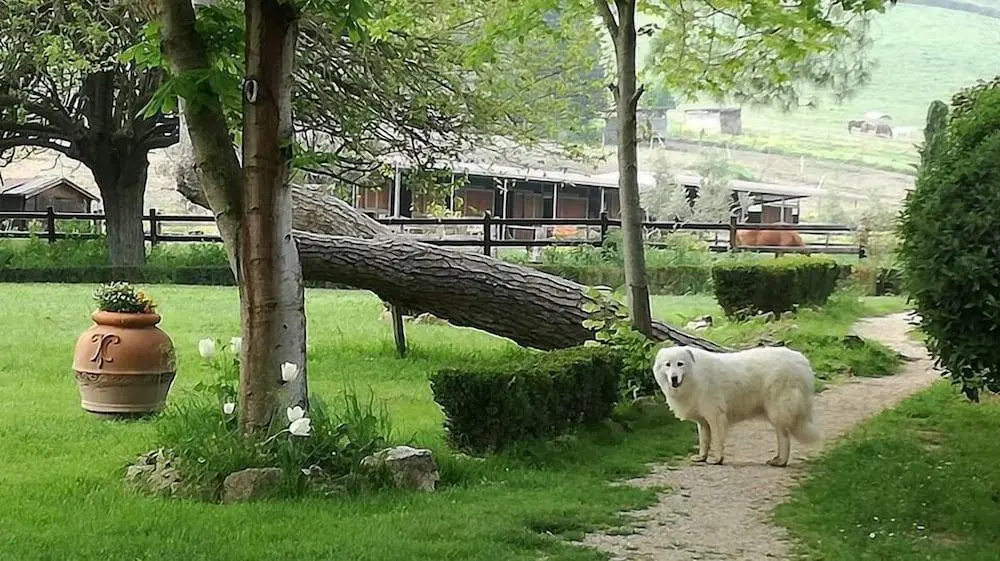 Foto - Tenuta Agricola Fonte di Papa