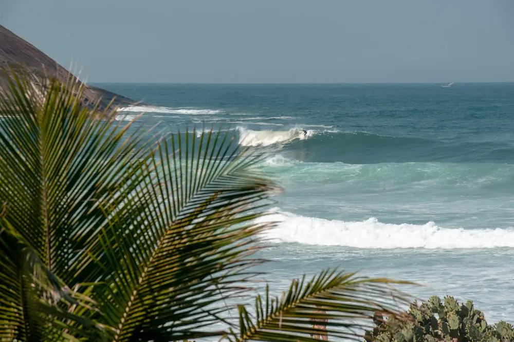Foto - Longboard Paradise Surf Club